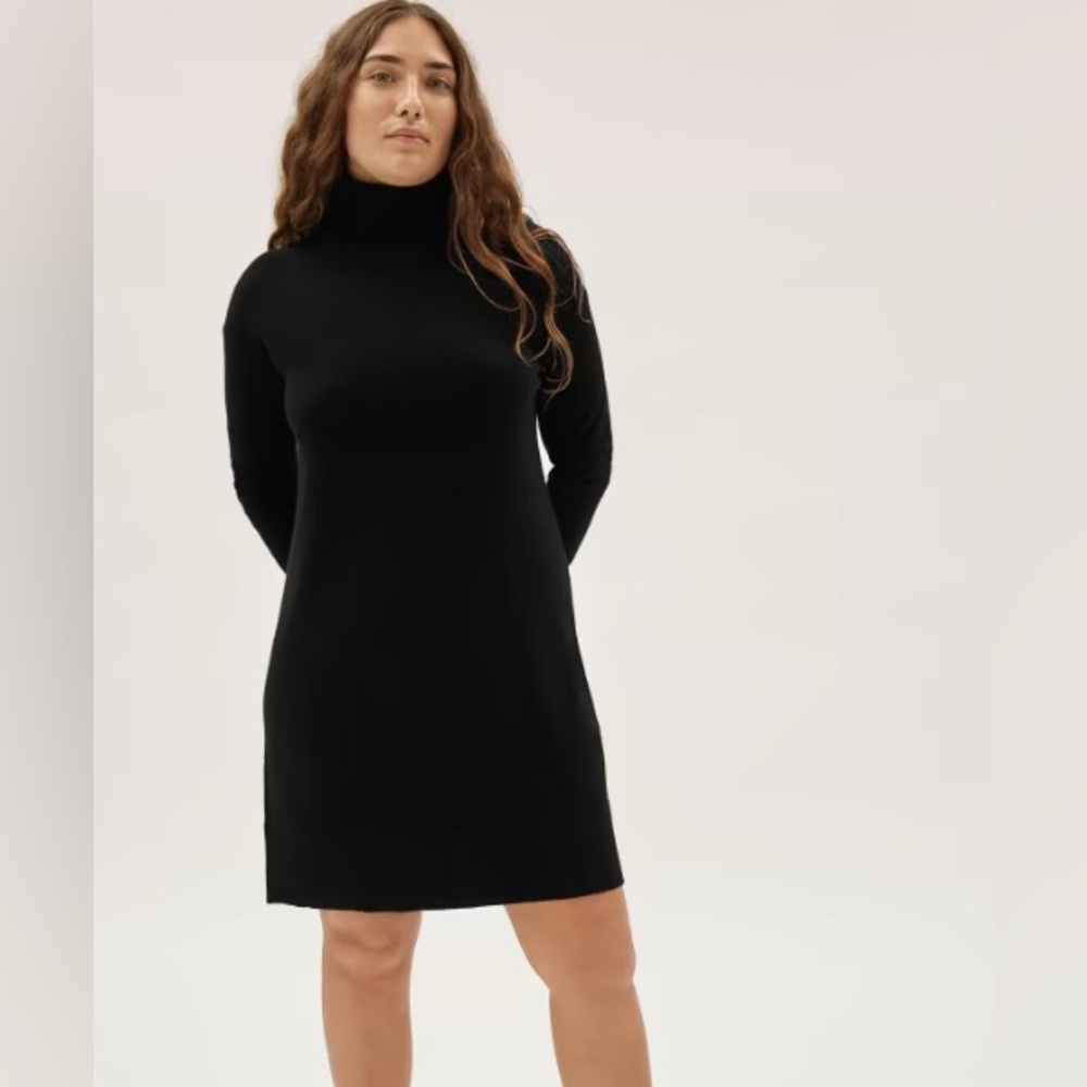 Everlane Black Cashmere Turtleneck Sweater Dress